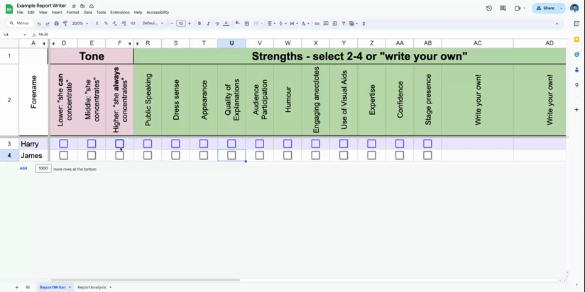 Example Report Writer - Google Sheets (8)-2